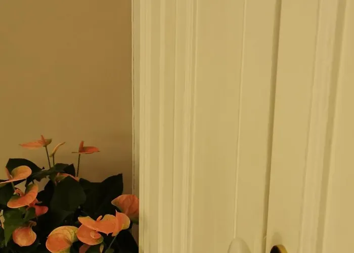 فندق مبيت وإفطار 102 4*